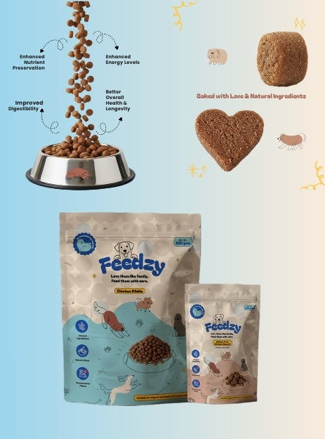 Feedzy Chicken Kibble