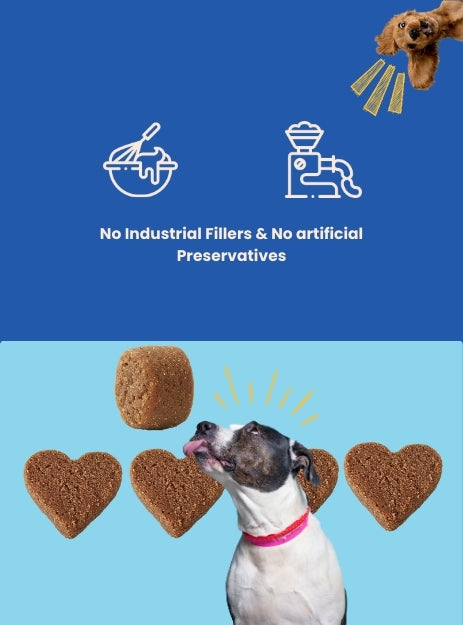 Feedzy Chicken Kibble